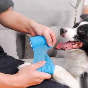 DirtGuard Dog Bandage
