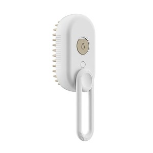 steam brush